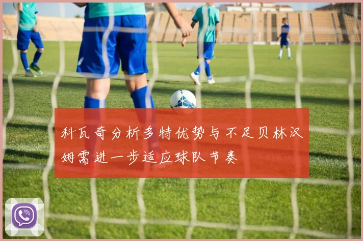 科瓦奇分析多特优势与不足贝林汉姆需进一步适应球队节奏