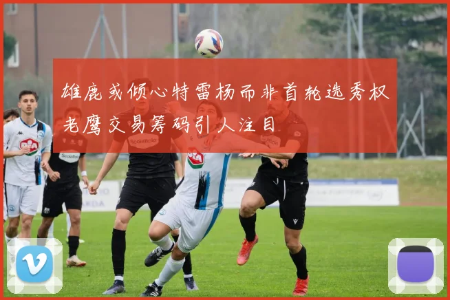 雄鹿或倾心特雷杨而非首轮选秀权老鹰交易筹码引人注目